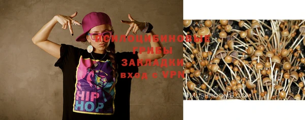 MDMA Premium VHQ Аркадак