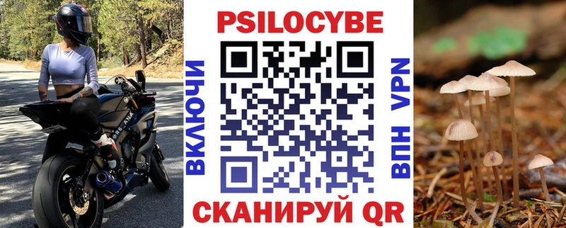 blacksprut сайт  Полевской  Галлюциногенные грибы Psilocybe 